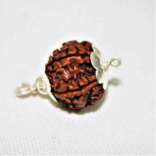 Natural 5 Mukhi/Face Rudraksha silver (Nepal Origin)