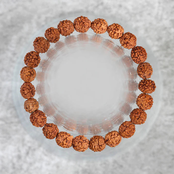 5 Mukhi Rudraksha Seed Stretch Bracelet