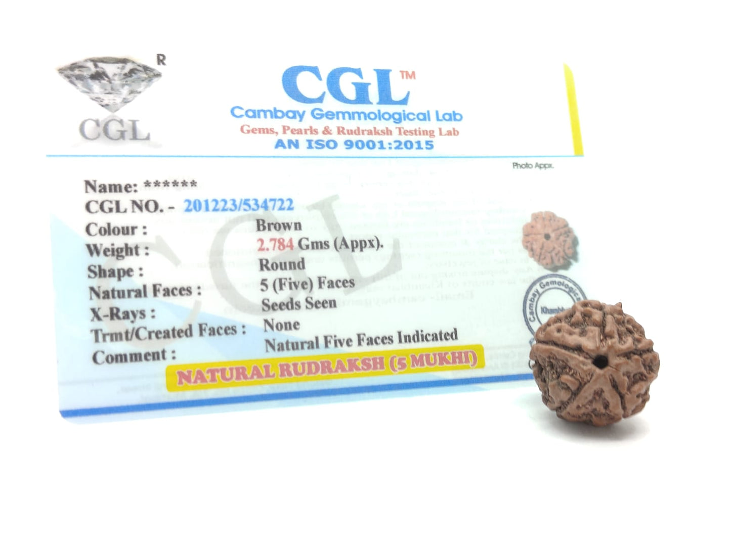 Natural 5 Mukhi/Face Rudraksha (Nepal Origin)